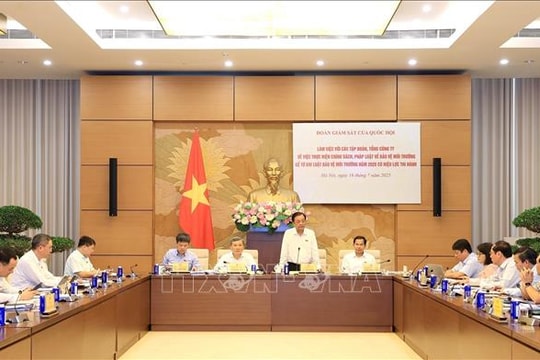 Quốc hội giám sát việc bảo vệ môi trường của Tập đoàn Điện lực Việt Nam, Tập đoàn Hóa chất Việt Nam