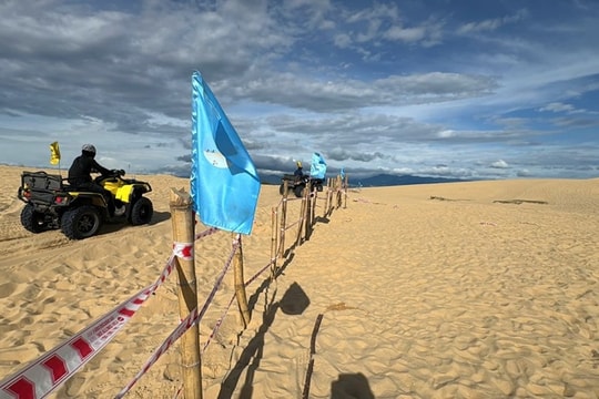 Quảng Trị: Yêu cầu dỡ bỏ cọc tre rào chắn trên đồi cát Quang Phú