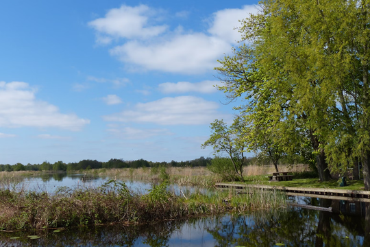 ‏Đất ngập nước biến mất với tốc độ báo động, thiệt hại hàng chục nghìn tỷ USD‏