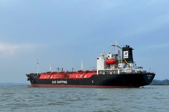 GAS Shipping (GSP) chuẩn bị trả cổ tức năm 2024 bằng cổ phiếu, nâng vốn điều lệ lên hơn 675 tỷ đồng