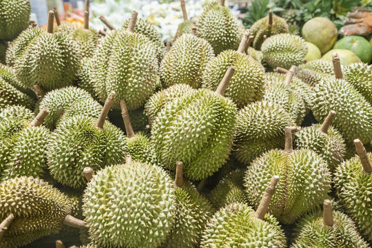 Giá sầu riêng hôm nay 16/7: Xuất khẩu đình trệ, giá tại vườn chạm đáy 65.000 đồng/kg