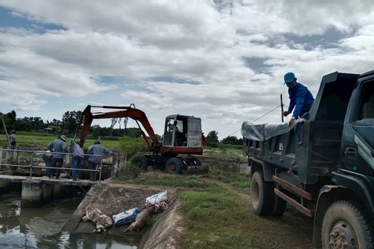 Tỉnh Gia Lai yêu cầu xử lý dứt điểm tình trạng xác lợn chết vứt vừa bãi xuống kênh tưới
