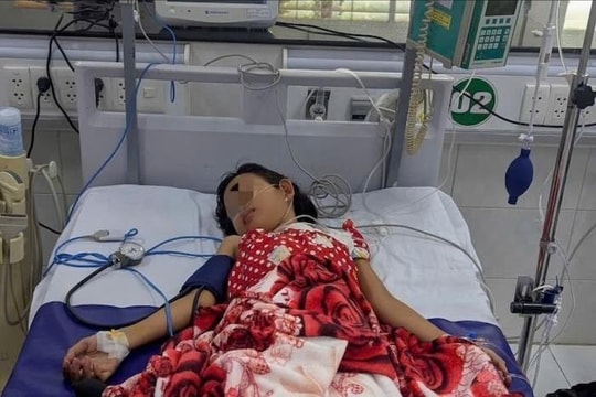 Báo động sốt xuất huyết ở trẻ em tại Cần Thơ: 17 ca nguy kịch, có bé phải thở máy