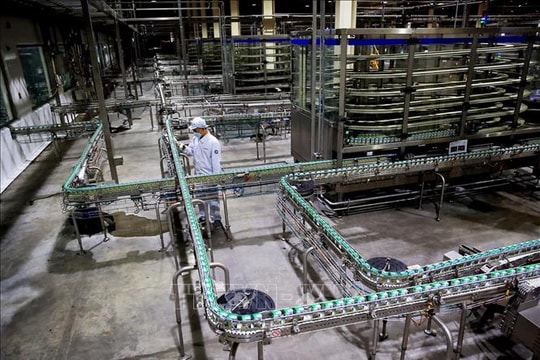 "Sản xuất sữa chờ công bố 21 ngày, sữa thiu mất rồi"