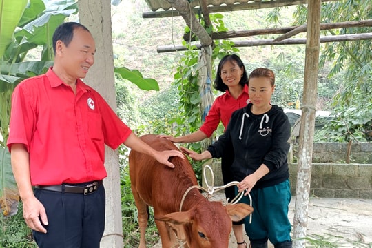 Phú Thọ: Nhiều giải pháp và đích đến giảm nghèo đa chiều, bền vững