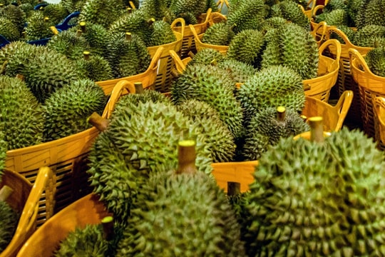 Giá sầu riêng hôm nay 18/7: Sầu Thái loại A giữ vững đỉnh, thị trường nội địa ổn định