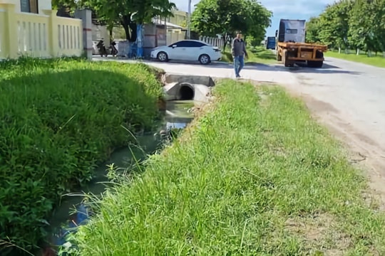 Quảng Ngãi: Phát hiện một số doanh nghiệp vi phạm quy định về bảo vệ môi trường