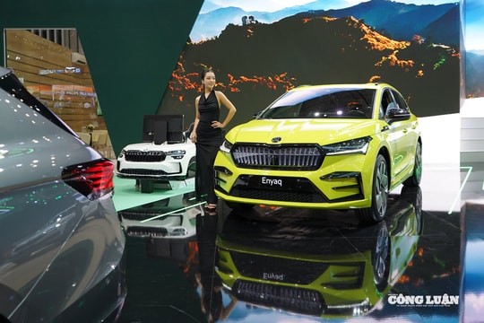 Top 10 thương hiệu ô tô được khách Việt mua nhiều nhất nửa đầu năm 2025