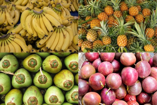 Chuối, dứa, dừa, chanh leo - nhóm cây ăn quả tỷ đô chờ bứt phá