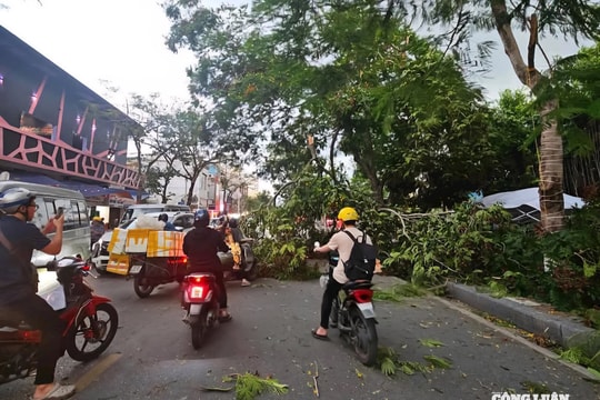 Hải Phòng chủ động ứng phó cơn bão số 3 WIPHA
