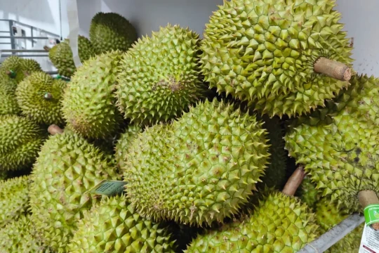 Giá sầu riêng hôm nay 19/7: Sầu Thái tăng 1.000 - 2.000, thương lái chờ tín hiệu xuất khẩu