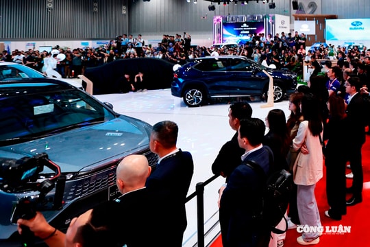 Thị trường ô tô Việt Nam và những điểm nhấn nửa đầu năm 2025