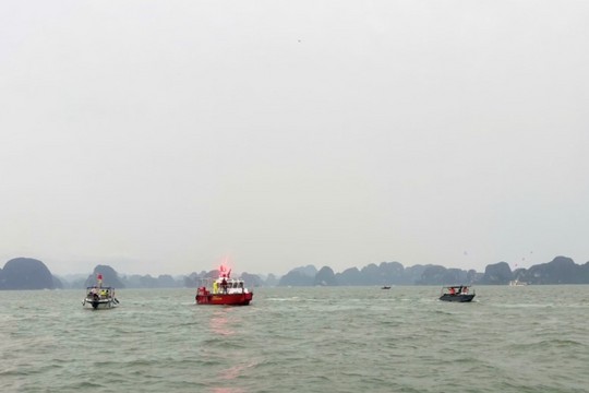 Hủy các tour du thuyền trên vịnh Hạ Long, Lan Hạ vì bão số 3