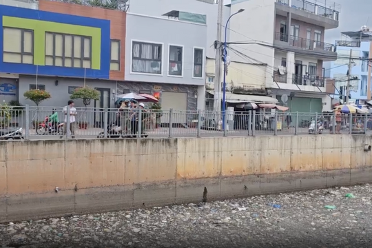 TP HCM: Truy tìm con cá sấu ở kênh Nước Đen