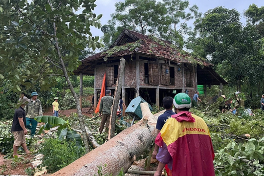 Phú Thọ: Giông lốc làm 1 người chết, hàng trăm nhà cửa và trường học hư hỏng