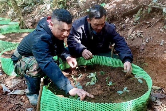 Quảng Ngãi: Không nhận hoa chúc mừng đại hội, xã kêu gọi cây giống giúp người nghèo