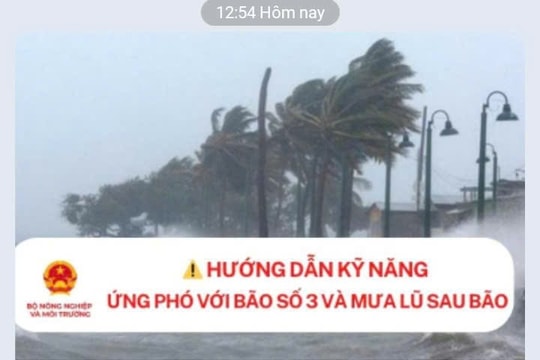 Cảnh báo khẩn bão số 3: Gửi 29 triệu tin nhắn qua Zalo để hướng dẫn ứng phó