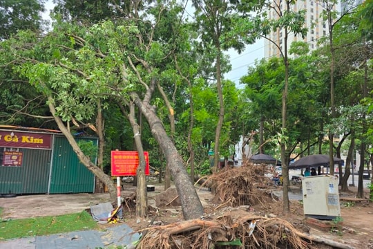 Hà Nội ban hành công điện khẩn ứng phó bão số 3 Wipha: Yêu cầu 'bốn tại chỗ'
