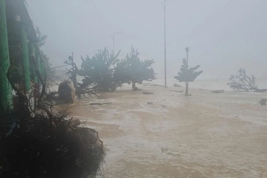 Bảo đảm an toàn hệ thống thông tin liên lạc phục vụ công tác chỉ đạo điều hành ứng phó bão