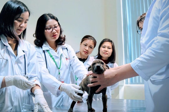 Ngành hot Học viện Nông nghiệp Việt Nam lấy sàn 21 điểm