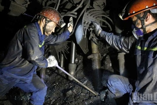 TKV và các đơn vị thành viên tập trung ứng phó bão số 3