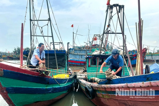 Ninh Bình: Tạm dừng các cuộc họp không thật cần thiết để tập trung ứng phó với bão số 3