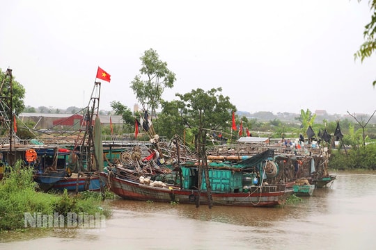 100% tàu thuyền Ninh Bình đã về nơi neo đậu để tránh trú bão an toàn
