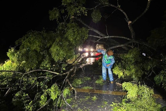 Nghệ An thiệt hại nặng do ảnh hưởng của bão số 3