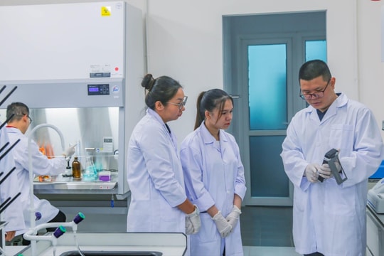 Loạt ngành nghề 'vàng' đang khát nhân lực trẻ