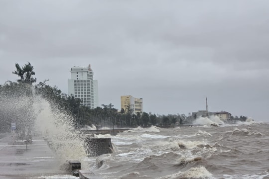 Chủ động ứng phó với vùng áp thấp có khả năng mạnh lên thành bão trên Biển Đông