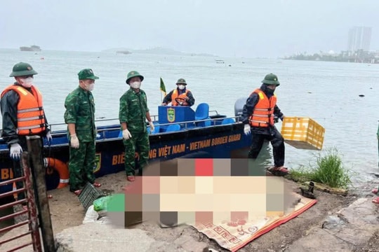 Quảng Ninh: Phát hiện một thi thể nam giới trôi dạt ở vùng vịnh Hạ Long