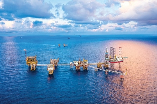 6 tháng đầu năm 2025: Petrovietnam dẫn đầu khối DNNN thuộc Bộ Tài chính, chiếm gần 65% tổng nộp ngân sách