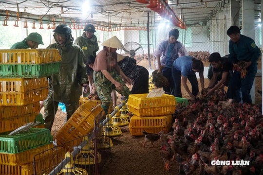 Thanh Hóa: Thống kê ban đầu thiệt hại do bão số 3 gây ra