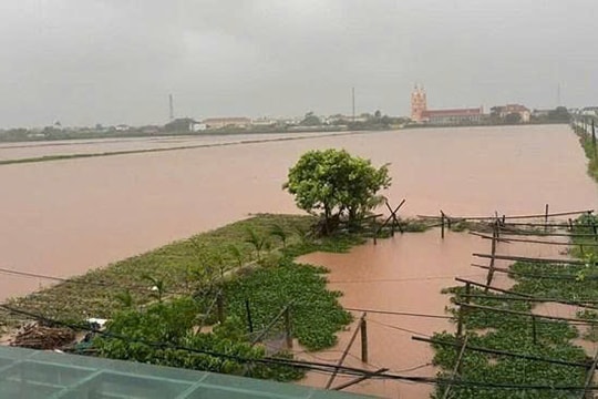 Gần 65.500 ha lúa ở Ninh Bình bị ngập trắng