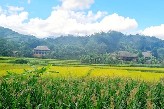 7 giải pháp, 6 nhiệm vụ chính giúp Lào Cai giảm nghèo đa chiều, bao trùm và bền vững.