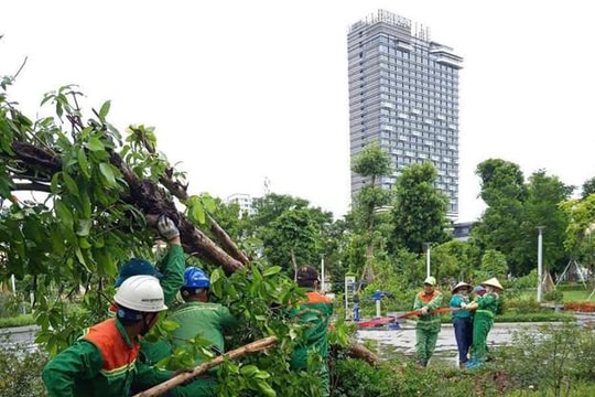 Công ty Môi trường đô thị Hải Phòng chủ động ứng phó với bão số 3