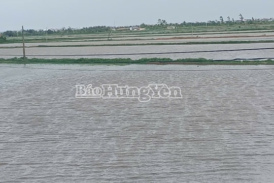 Hưng Yên: Tập trung khắc phục thiệt hại do bão số 3 gây ra, sớm đưa các hoạt động trở lại bình thường