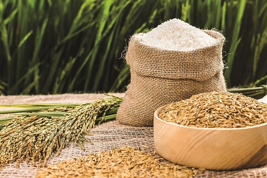 Giá lúa gạo hôm nay 23/7: Giá gạo và cám tăng xuất khẩu giữ đà tăng