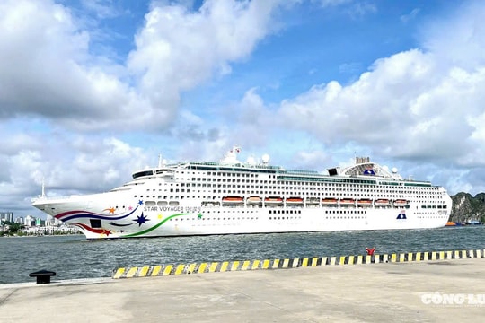 Tàu STAR VOYAGER đưa hơn một nghìn khách quốc tế đến vịnh Hạ Long ngay sau khi bão số 3 vừa tan