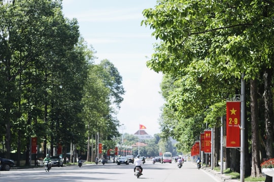 Hà Nội di dời, chặt hạ 24 cây xanh phục vụ thi công mở rộng đường Hùng Vương kéo dài