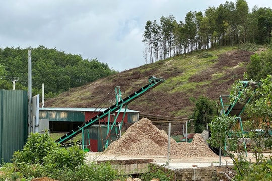 Thanh Hóa: Xưởng sản xuất keo băm có dấu hiệu xây dựng trái phép?