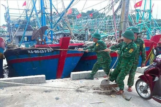 Gần 30.000 người đã sơ tán, toàn bộ tàu thuyền về bờ tránh bão số 5