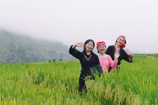 Người trẻ 'xách ba lô và đi' - Xu hướng du lịch tự túc lên ngôi