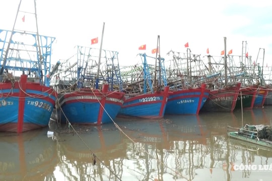 Nghệ An: Tàu thuyền được ra khơi trở lại sau bão số 3