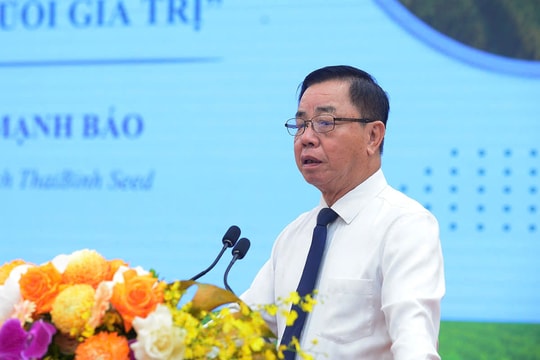 Khi giá gạo thoái trào: Nông sản Việt cần chiến lược bền vững hơn