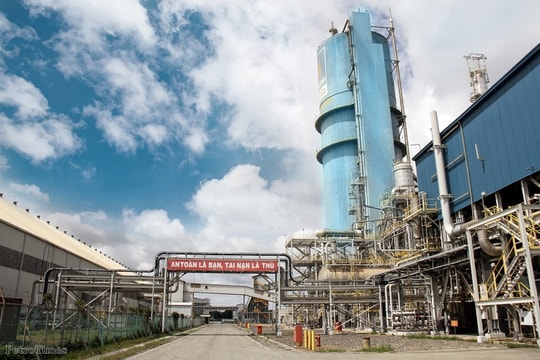 Bài 3: Sứ mệnh đảm bảo an ninh lương thực quốc gia