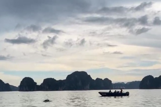 Tìm thấy thi thể phụ nữ nghi là nạn nhân vụ lật tàu trên vịnh Hạ Long