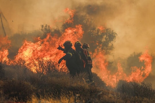 Hy Lạp yêu cầu EU hỗ trợ chống cháy rừng giữa đợt nắng nóng cực đoan