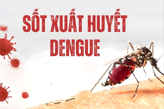 Sốt xuất huyết Dengue gia tăng mạnh, miền Nam ghi nhận số ca mắc và tử vong cao