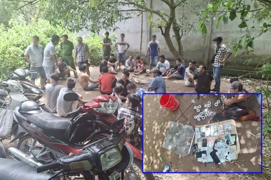 Vĩnh Long: Tạm giữ hình sự 11 đối tượng 'sát phạt' nhau tại sới đá gà